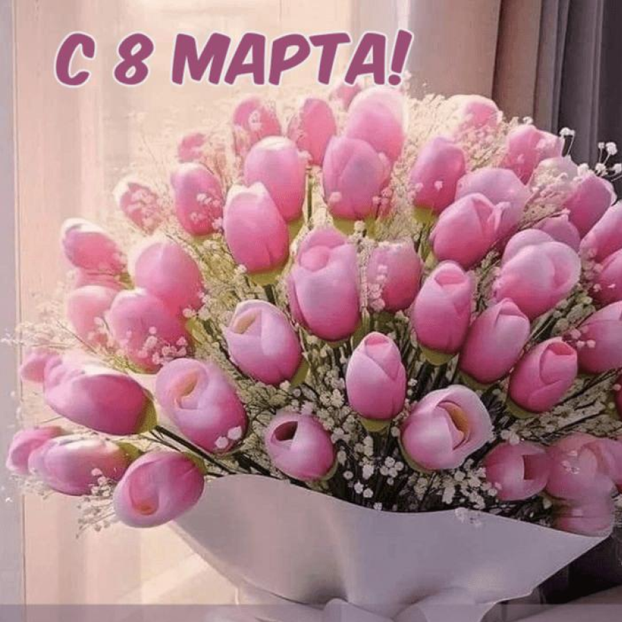 фото клуба Победа 33